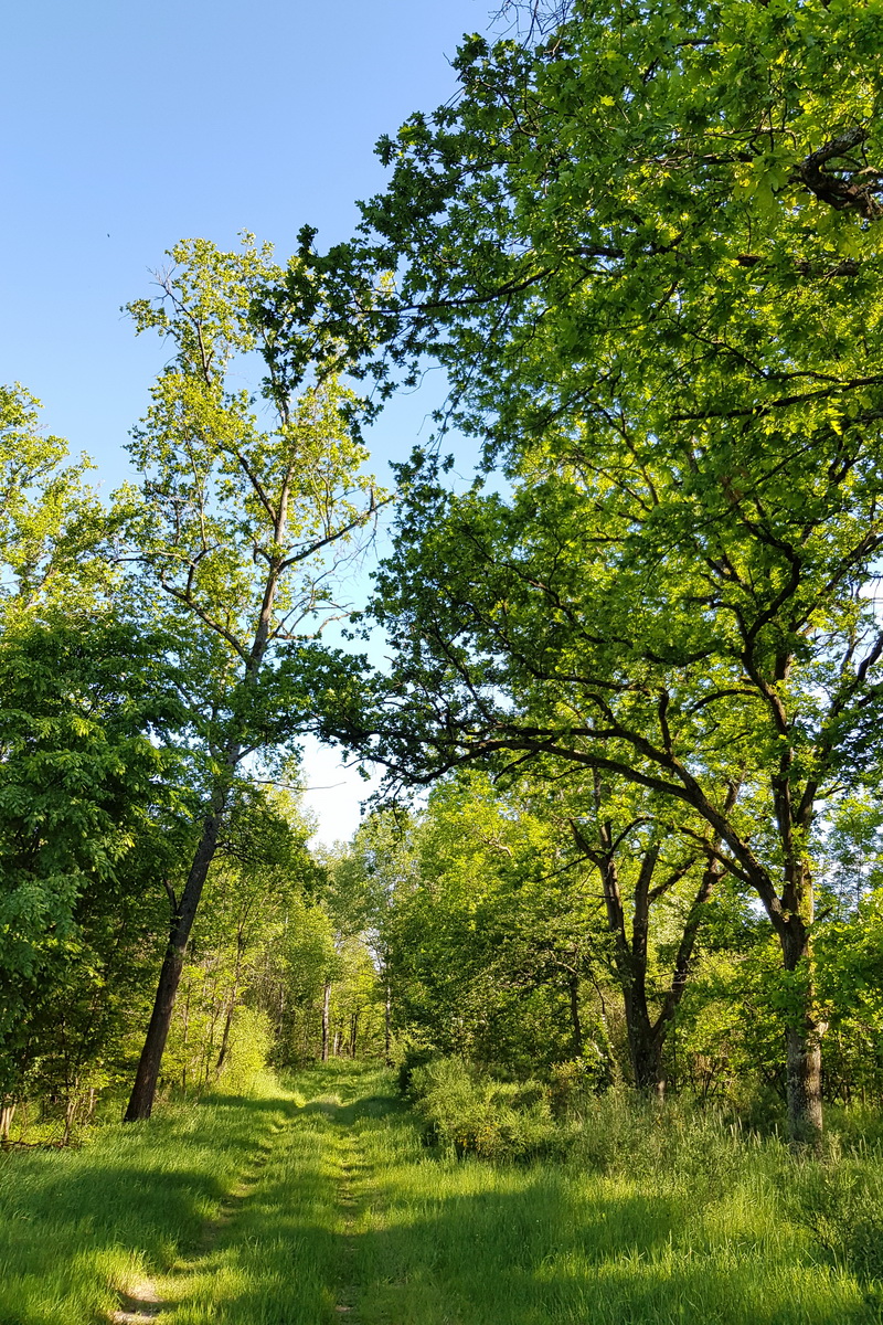 le domaine des Perichons, 100 hectares où la faune et la flore sont préservées